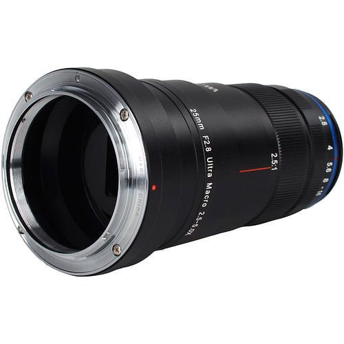 Venus Optics Laowa 25mm F 2 8 2 5 5x Ultra Macro Lens For Nikon Z Filters Exchange Photography Accessories Venus Optics Laowa 25mm F 2 8 2 5 5x Ultra Macro Lens For Nikon Z Filters Exchange Photography Accessories